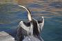 sydney-sep-2013 054